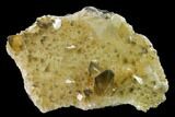 Beam Calcite Crystal Cluster with Phantoms - Morocco #159522-2